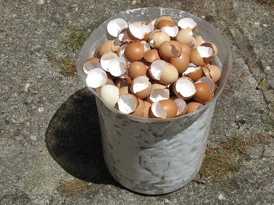 Grands récipient plein de coquilles d'œufs.